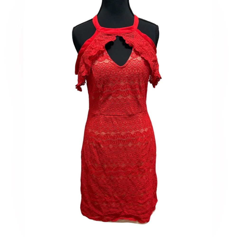 Francesca's Collections Red Lace Dress